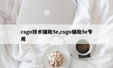 csgo技术辅助5e,csgo辅助5e专用