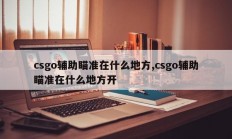 csgo辅助瞄准在什么地方,csgo辅助瞄准在什么地方开