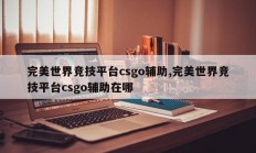 完美世界竞技平台csgo辅助,完美世界竞技平台csgo辅助在哪